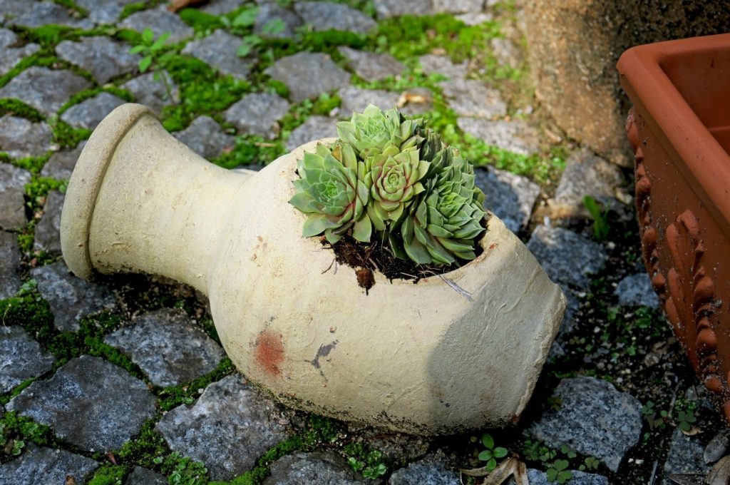 Serh schön ist eine Amphore, aus welcher Pflanzen herauswachsen. Die Natur holt sich zurück, was ihr entrissen wurde...