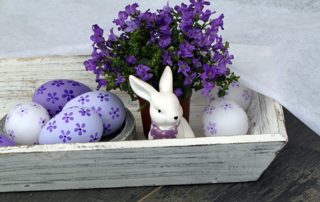 "Ostern bunt erleben" ist unser Titel für die 5. Deko-Idee. Lila ist klar die dominierende Farbe. Mit der Feder und einem Stempel haben wir die Lila Blumen auf die Eier getupft. Die Eier sind übrigens selbst ausgeblasen. Stammen noch aus unseren Ostervorbereitungen. Der Hase mit seiner weißen Farbe kontrastiert aufs Angenehmste mit dem Lila Bastel- und Machwerk ringsum. Das kleine weißliche, rechteckige Holzschälchen stammt aus dem Shop unseres Möbelhauses hier. Da gibt's noch mehr von diesem Krimskrams. Mühsam sind wir dem Eurograb entronnen und haben dieses Beutestück mitgebracht. (#5)