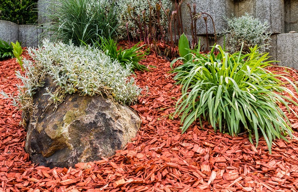 Steingarten mit roten Rindenmulch: Eine schöne Alternative, wenn man Garten möchte aber nicht soviel Zeit hat um ihn auch zu pflegen