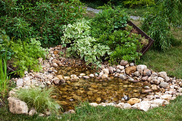 Ein kleiner Bereich mit einem Teich, ein paar Fische vielleicht, eine wunderbarer Platz um innezuhalten