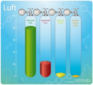 Saubere Luft besteht aus vielen Komponenten. Auch die Anzahl der Pflanzen im Raum spielt dabei eine entscheidende Rolle. (#1)