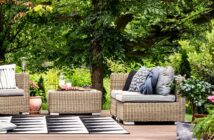 Schattenspender: Empfehlungen für Haus, Balkon und Garten