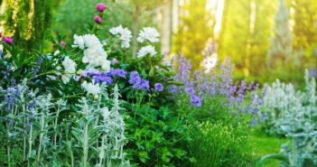 Bauerngarten: Pflanzen planen & erleben ( Foto: Adobe Stock-mashiki )