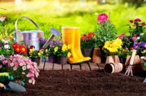 Gartengeräte: Bilder und Namen zuverlässiger Maschinen für den Profi-Garten ( Foto: Shutterstock-_Romolo Tavani )