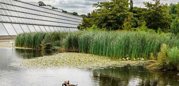 progres.nrw: Das ist drin bei der Photovoltaik-Förderung in NRW für den Privathaushalt (Foto: shutterstock - riekephotos)