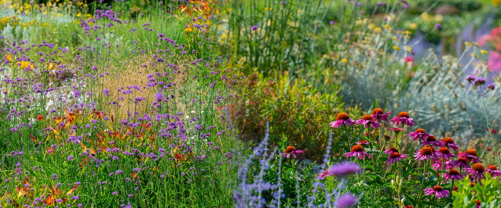 Der "Bauerngarten" ist ein Thema, das sich in einem großen Garten sehr schön umsetzen lässt. Hier findet sich auch fast ganzjährig blühfreudige Pflanzen. (Foto: AdobeStock - Vera Kuttelvaserova)