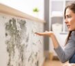 Schimmelbildung adieu: So vermeiden Sie ihn und verbessern gleichzeitig die Luftqualität in Ihren Wohnraum. ( Foto: Adobe Stock-Andrey Popov)
