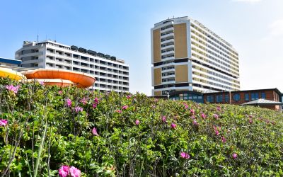 Die Entstehung neuer Hotels auf Sylt wird in Zukunft eher die Ausnahme als die Regel sein. (Foto: AdobeStock - David 319044846)