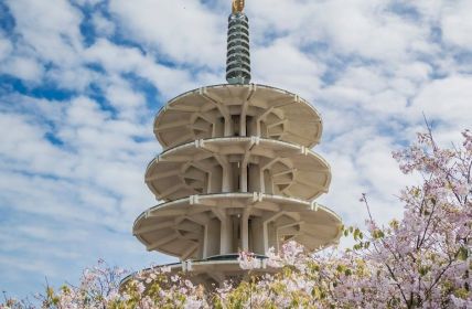 Origami-Kunst in San Franciscos Japantown erwacht zum Leben (Foto: AdobeStock - SvetlanaSF 590705651)