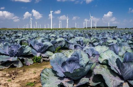 Schleswig-Holstein Netz verdoppelt Anzahl an EE-Anlagen (Foto: AdobeStock - Carl-Jürgen Bautsch 283547483)