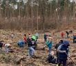 Erfolgreiche Baumpflanzaktion stärkt Klimafunktion und (Foto: Stadt Brandenburg)