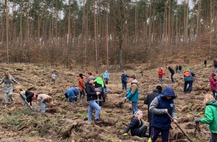 Erfolgreiche Baumpflanzaktion stärkt Klimafunktion und (Foto: Stadt Brandenburg)