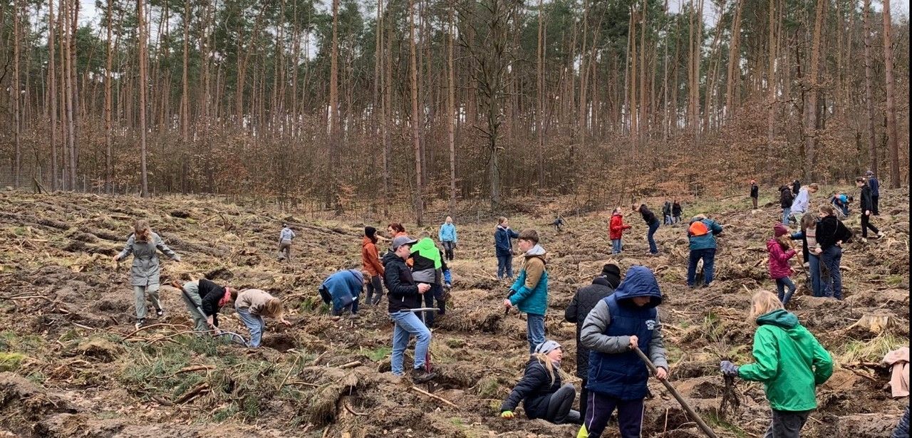 Erfolgreiche Baumpflanzaktion stärkt Klimafunktion und (Foto: Stadt Brandenburg)