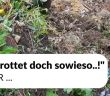 Gartenabfälle richtig entsorgen - Umweltschutz und Nutzen für den (Foto: Stadt Brandenburg)