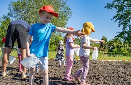 Neue Futterquelle für Energie-Bienen der Stadtwerke Weimar (Foto: Stadtwerke Weimar Stadtversorgungs-GmbH)