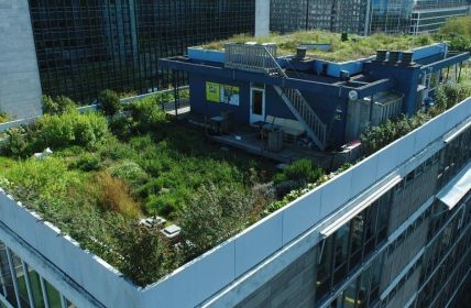 Effektive Lösungen zur Wasserspeicherung in Städten der (Foto: Optigrün international AG)
