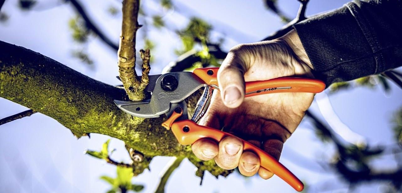 GardenPRO Hybrid-Scheren vereinen Amboss- und Bypass-Technik für kraftvolle (Foto: Gebr. Schröder GmbH, Original LÖWE)