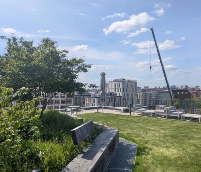 Weitl&auml;ufige Mieterterrasse (Foto: Levin Monsigny Landschaftsarchitekten)