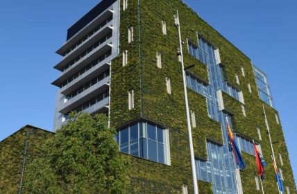 Gründächer und begrünte Fassaden bieten ganzjährigen Wärmeschutz und (Foto: Landesinnungsverband des Dachdeckerhandwerks Rheinland-Pfalz)