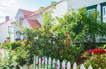 Moers ruft Balkonfreunde zu naturnahen Garteneinsendungen mit Fotos (Foto: AdobeStock - Friedberg - 380280676)