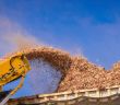 Regionale Holz-Biomasse von Schmidmeier sichert klimaneutrale Prozesswärme und (Foto: AdobeStock - Gustavo - 465148058)
