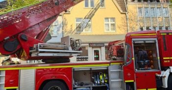 Vollbrand im Dachgeschoss: Feuerwehr bewältigt Einsatz effizient, Katzen (Foto: Feuerwehr Recklinghausen)