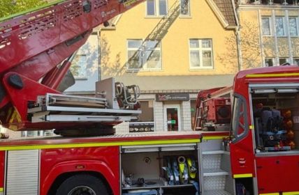 Vollbrand im Dachgeschoss: Feuerwehr bewältigt Einsatz effizient, Katzen (Foto: Feuerwehr Recklinghausen)