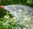 Effiziente Gartenbewässerung: Schläuche, Rechner und Zubehör optimal zuverlässig (Foto: TÜV SÜD)